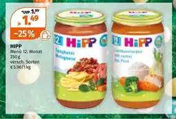 Müller Hipp spaghetti bolognese Angebot