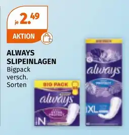 Müller Always slipeinlagen Angebot