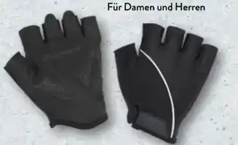 Aldi Nord Crane Radler-Handschuhe Angebot