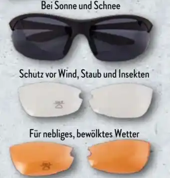 Aldi Nord Crane Sportbrille Angebot