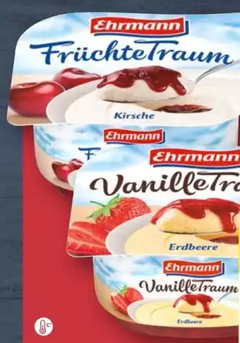 Aldi Nord Ehrmann Früchte-Vanilletraum Angebot