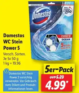 Lidl Domestos WC Stein Power 5 Angebot