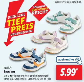 Lidl lupilu Sneaker Angebot