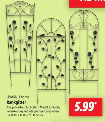 Lidl LIVARNO home Rankgitter Angebot