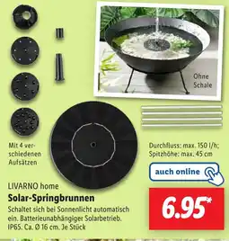 Lidl LIVARNO home Solar-Springbrunnen Angebot