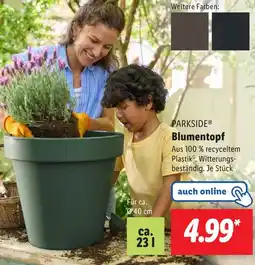 Lidl PARKSIDE Blumentopf Angebot