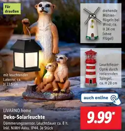 Lidl LIVARNO home Deko-Solarleuchte Angebot