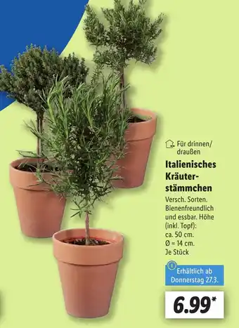 Lidl Italienisches Kräuter- stämmchen Angebot