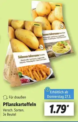 Lidl Für draußen Pflanzkartoffeln Pflanzkartoffeln Angebot