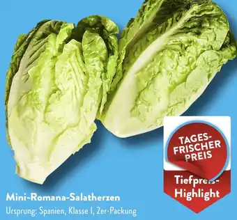 Aldi Süd Mini-Romana-Salatherzen Angebot