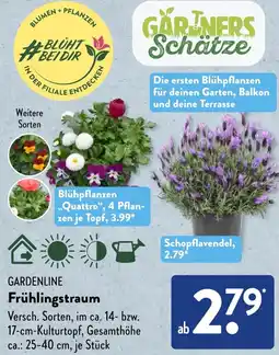 Aldi Süd GARDENLINE Frühlingstraum Angebot