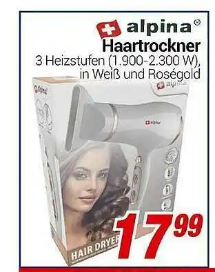 CENTERSHOP Alpina Haartrockner Angebot