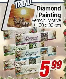 CENTERSHOP Trend Diamond Painting Angebot