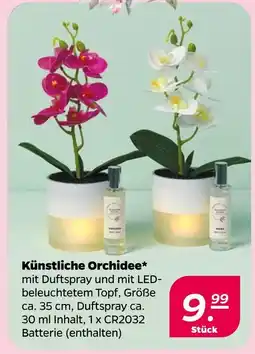 NETTO Künstliche orchidee Angebot