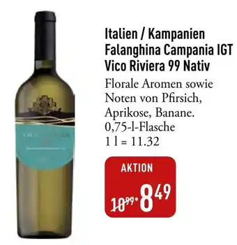 Galeria Markthalle Italien / Kampanien Falanghina Campania IGT Vico Riviera 99 Nativ Angebot