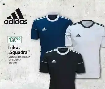 Selgros Adidas Trikot „squadra“ Angebot