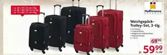 Selgros Hoffmanns Weichgepäck-trolley-set Angebot