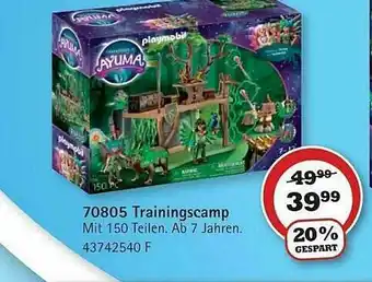 Vedes 70805 Trainingscamp Angebot