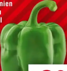 Handelshof Paprika Grün Angebot