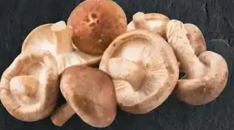 Handelshof Shiitake Pilze Angebot