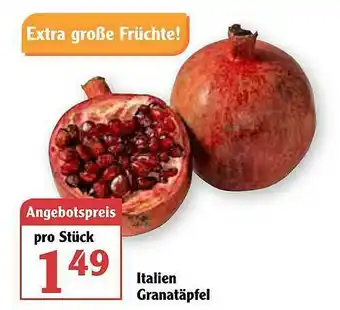 Globus Italien Granatäpfel Angebot