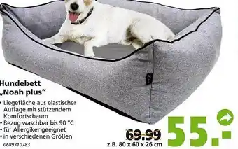 Globus Baumarkt Hundebett „noah Plus“ Angebot