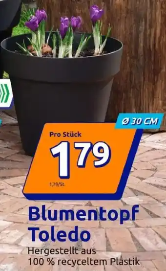 Action Blumentopf Toledo Angebot