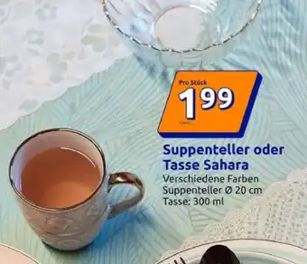 Action Suppenteller oder Tasse Sahara Angebot