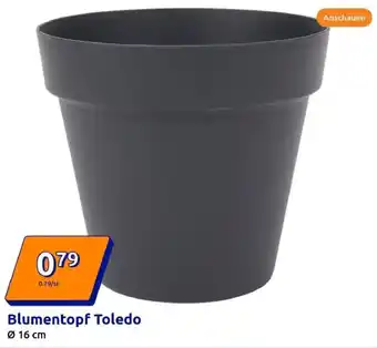 Action Blumentopf Toledo Angebot