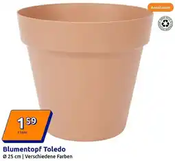 Action Blumentopf Toledo Angebot