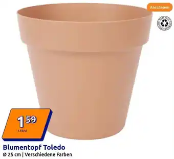 Action Blumentopf Toledo Angebot