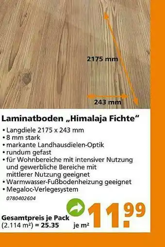 Globus Baumarkt Laminatboden „himalaja Fichte“ Angebot