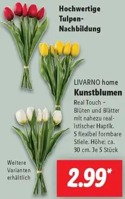 Lidl LIVARNO home Kunstblumen Angebot