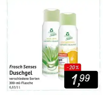 KONSUM Frosch Senses Duschgel Angebot