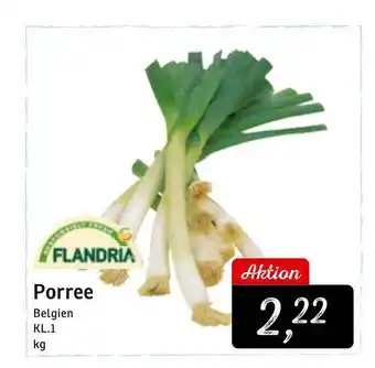 KONSUM Porree Flandria Angebot