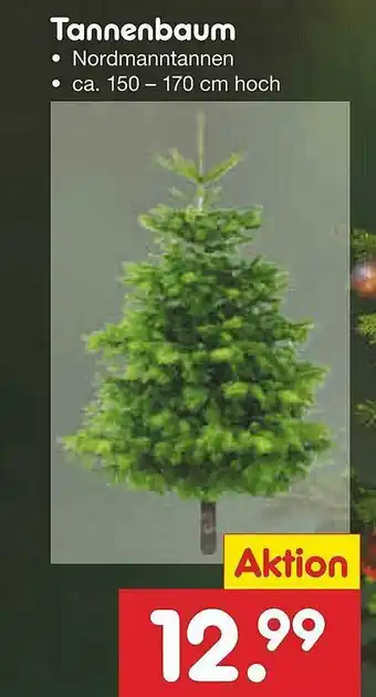 Netto Marken-Discount Tannenbaum Angebot