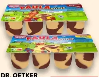 Kaufland Tanner Dr. Oetker Paula Minis Angebot