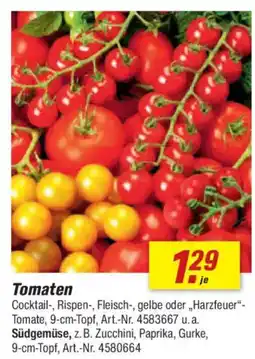 toom Baumarkt Tomaten Angebot