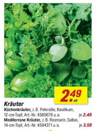 toom Baumarkt Kräuter Angebot