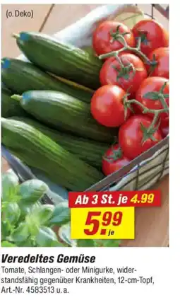 toom Baumarkt Veredeltes Gemüse Angebot