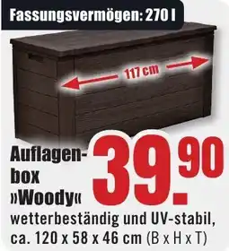 B1 Discount Baumarkt Auflagenbox Woody Angebot