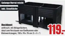 B1 Discount Baumarkt Hochbeet Angebot