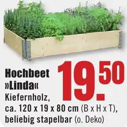 B1 Discount Baumarkt Hochbeet Linda Angebot