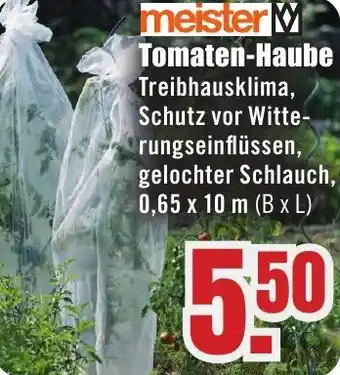 B1 Discount Baumarkt meister Tomaten-Haube Angebot