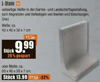 V Baumarkt L-Stein Angebot