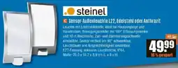 V Baumarkt Steinel Sensor-Außenleuchte L22, Edelstahl oder Anthrazit Angebot