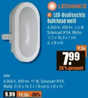 V Baumarkt LEDVANCE LED-Ovalleuchte Bulkhead weiß Angebot