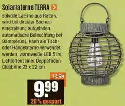 V Baumarkt Solarlaterne TERRA Angebot