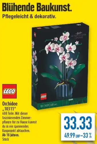 diska LEGO Orchidee 10311 Angebot