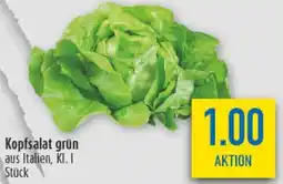 diska Kopfsalat grün Angebot